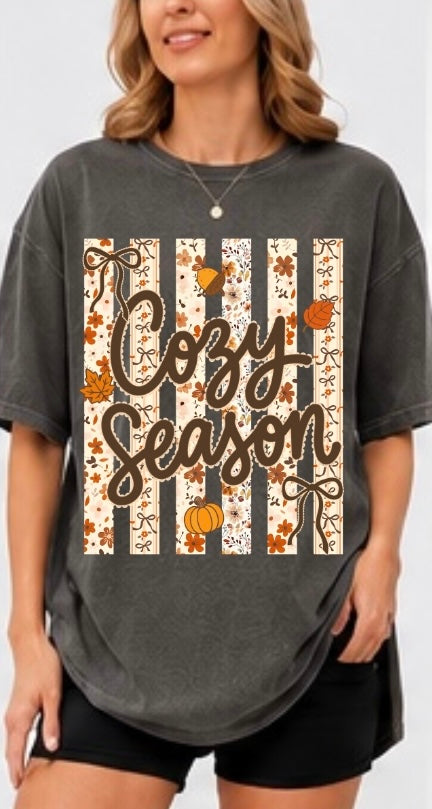 Cozy Stripes Adult Tee