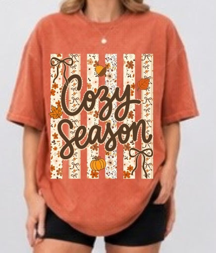 Cozy Stripes Adult Tee